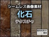化石のテクスチャ/シームレス画像素材〜商用成人利用OKの著作権フリー